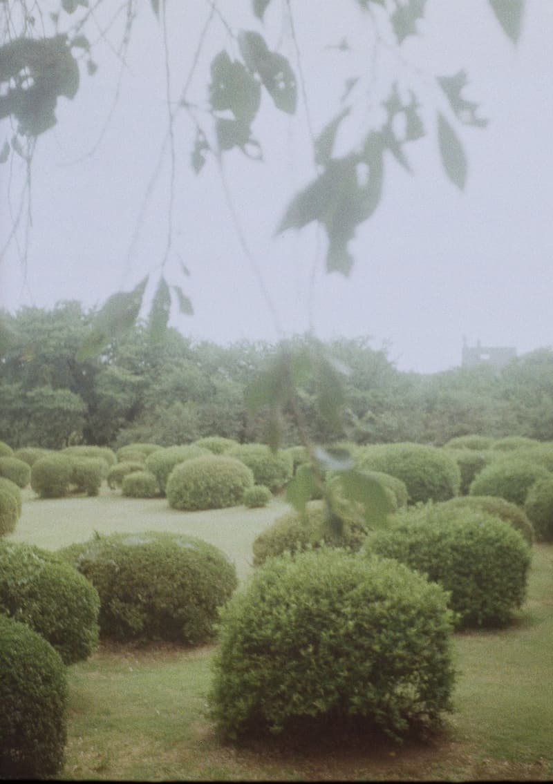 オロヒーがジャックポットにて東京初のポップアップを開催 ohrohee jackpot pop up store open info