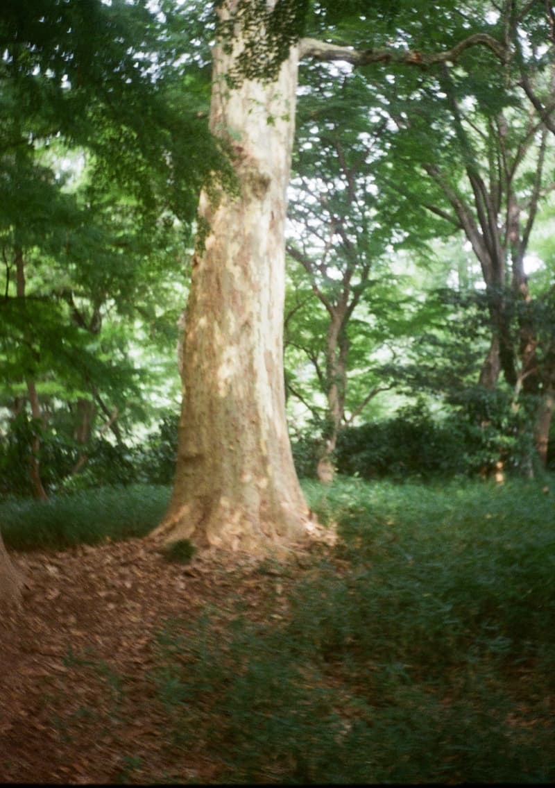 オロヒーがジャックポットにて東京初のポップアップを開催 ohrohee jackpot pop up store open info
