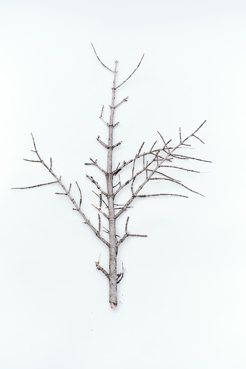 ロア x アンドワンダーによるコラボコレクションが登場 roa and wander collabo collection release info