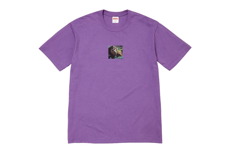 シュプリームが2025年秋のTシャツ・コレクションを発表 Supreme 2025 fall Tee collection release info
