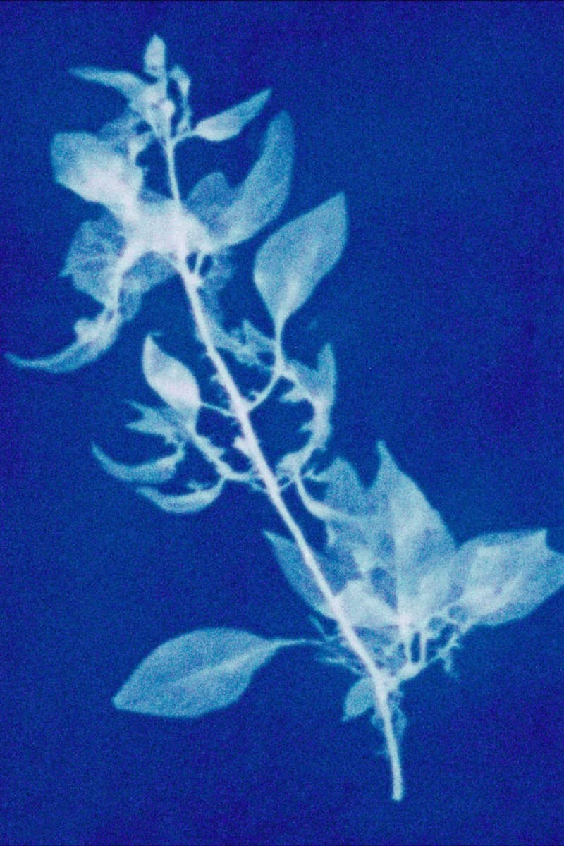 ストーンアイランドより日本の藍染めから着想を得たコロージョン・トリートメントアイテムをリリース stone island corrosion treatment release info