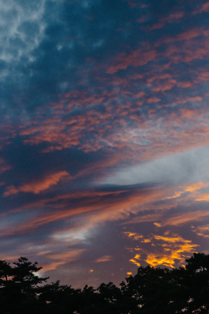 ザ・ノース・フェイスの名作アウターが現代仕様にアップデート The North Face’s Iconic Outerwear Gets a Modern Update