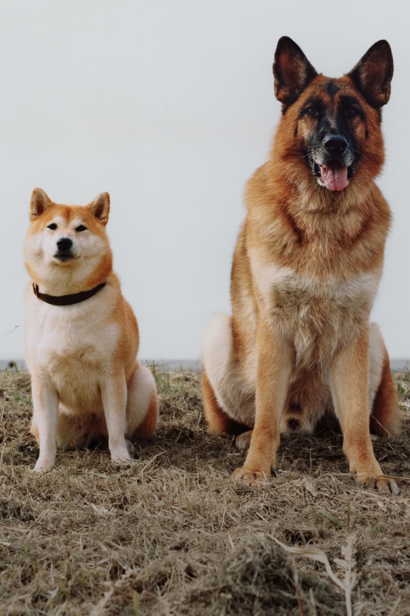 ナナミカがア カインド オブ ガイズとのコラボレーションを発表 nanamica a kind of guise collaboration release info