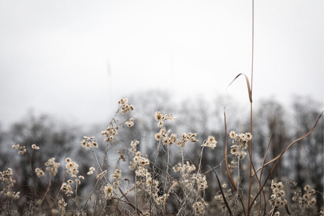 次章を見据えたニトロ・マイクロフォン・アンダーグラウンドの矜持 | Interviews Hypetrak NITRO MICROPHONE UNDERGROUND Day1 release interview