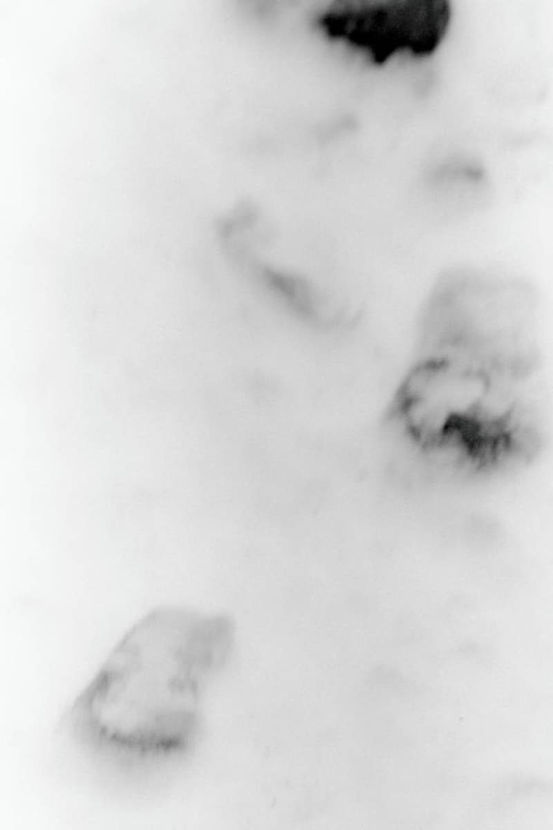 T.T 2026年秋冬コレクション t t 2026 autumn winter collection look books