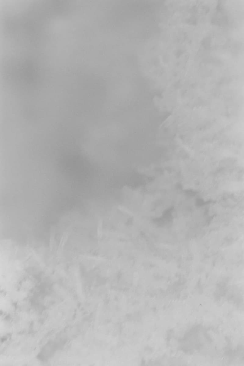 T.T 2026年秋冬コレクション t t 2026 autumn winter collection look books