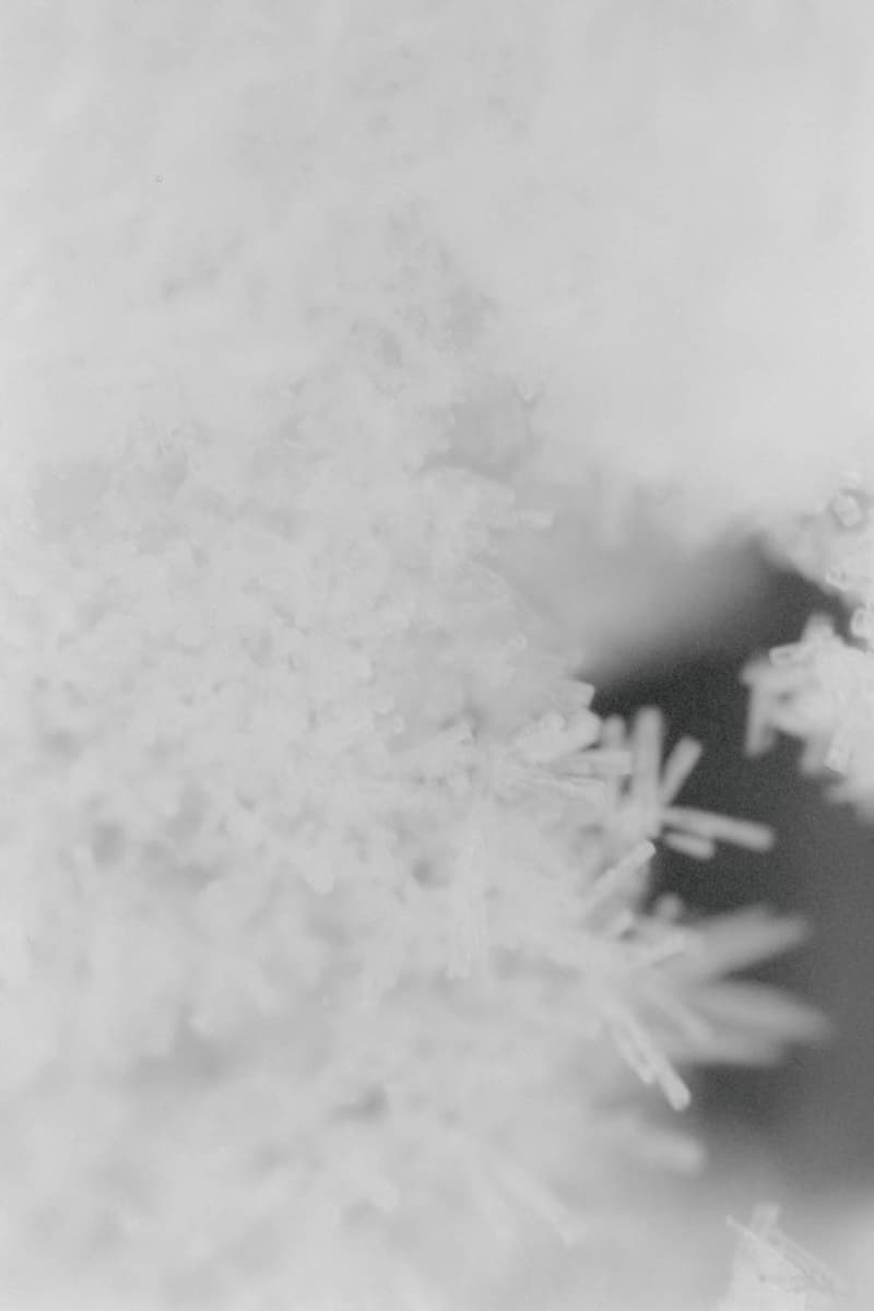 T.T 2026年秋冬コレクション t t 2026 autumn winter collection look books