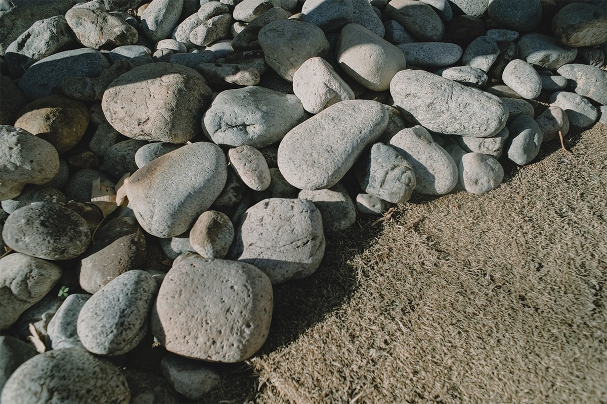 空間から生まれるスケートの美学 ── WHIMSY 中井宗太 | Interviews whimsy sota nakai interviews