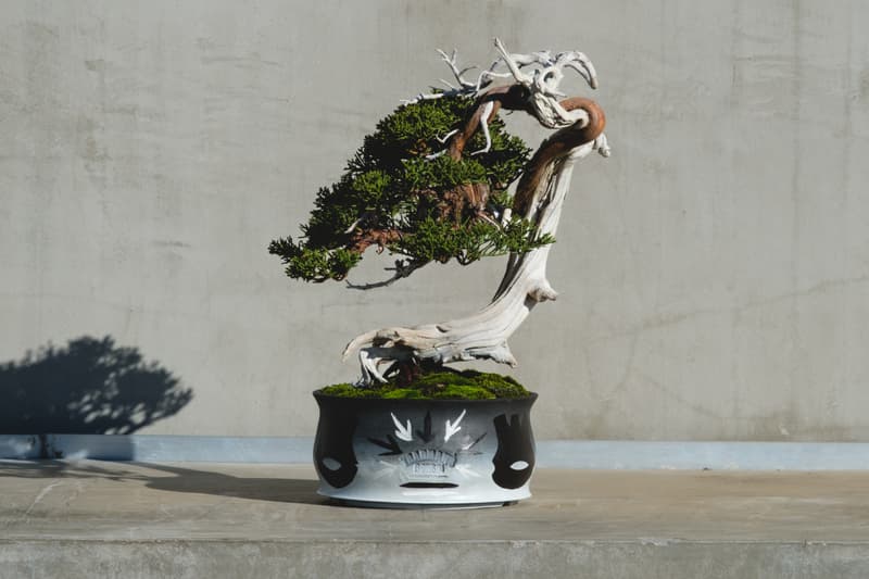 ERIC HAZE x  TRADMAN’S BONSAI が初共演──丸の内で盆栽を軸にしたコラボレーション展を開催　エリック・ヘイズxトラッドマン・ボンサイ