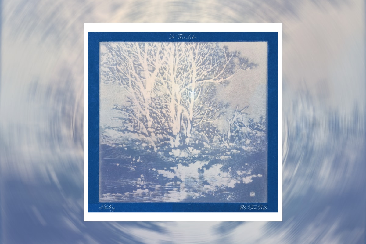 ヌジャベス設立トライブより巨勢典子サンプリングから生まれた新作 A.Valley, Polo San Pablo 『In This Life』がリリース A.Valley・Polo San Pablo feat. Noriko kose「In This Life」release info