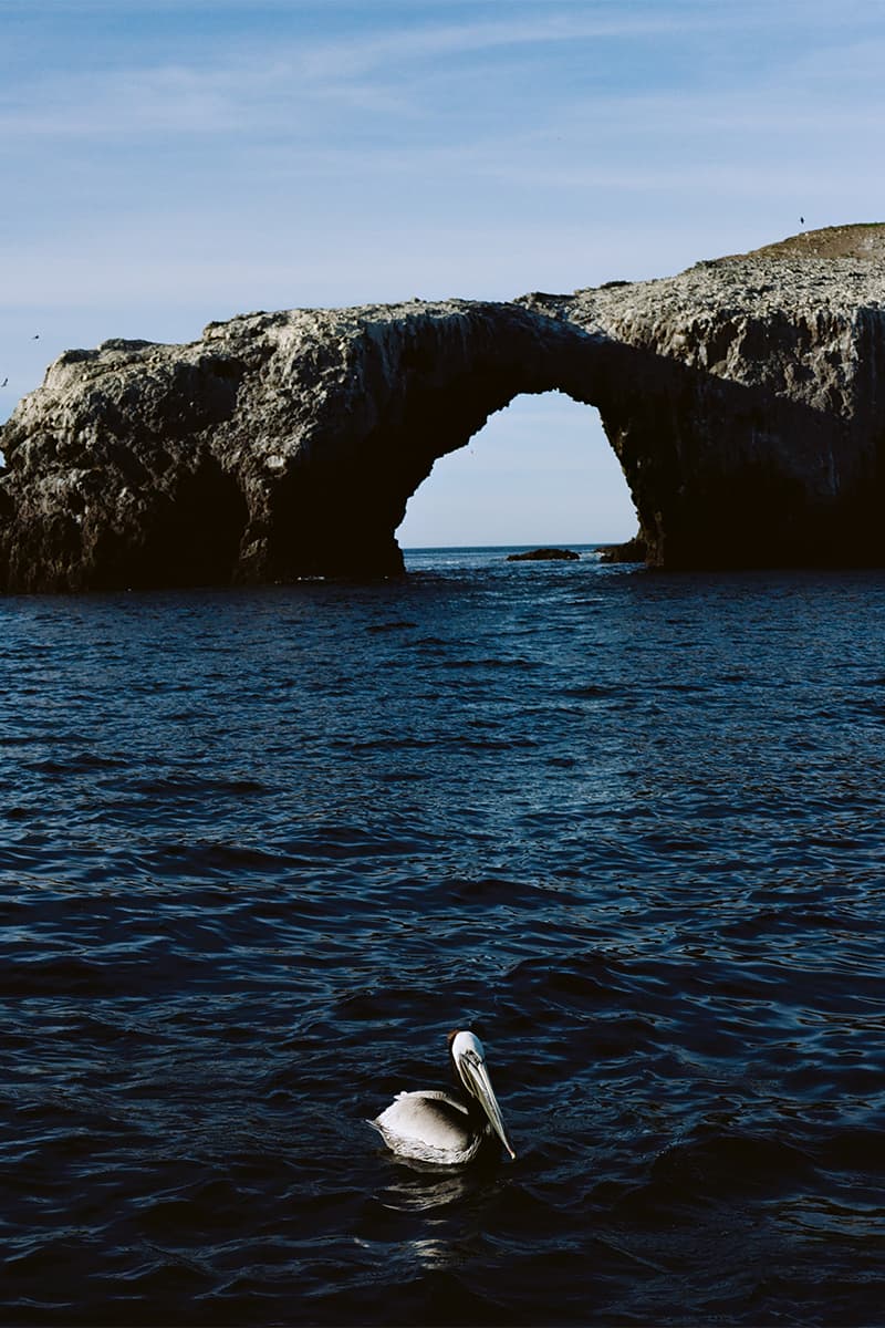 キャプテンサンシャインxレディホワイトカンパニーによる初のカプセルコレクションがリリース kaptain sunshine lady white company capsel collection release info