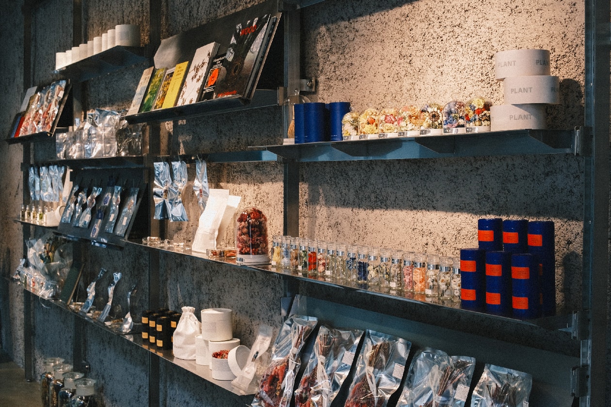 イーダブリューファーマシー #106  ──  エデンワークスとロッキーズ マッチャが差し出す感性の処方箋  | インタビュー EW.Pharmacy #106, Rocky’s Matcha, MEGUMI SHINOZAKI, Rocky Xu, Interviews