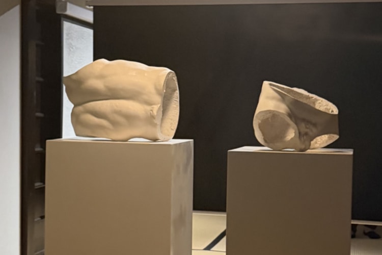 アーティスト マルタン・マルジェラの個展が京都でも開催中