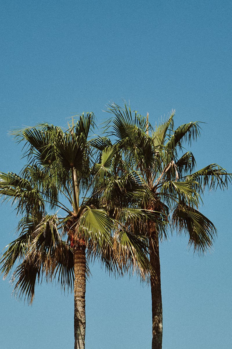 シュガーヒルとカーサービスがミッドサマーコレクションを発表 sugarhill carservice mid summer collection release info