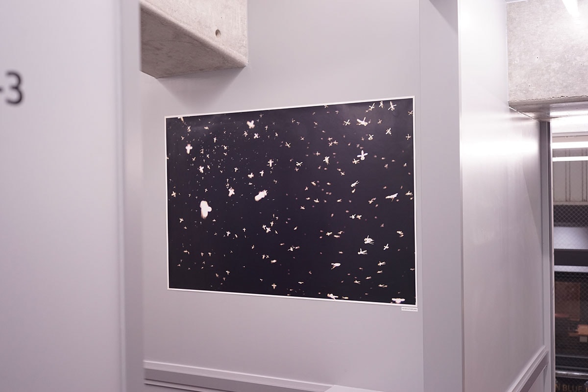 伝説のフォトプラットフォーム タイニーヴァイセズが『アーバンリサーチ 京都』へ ── ティム・バーバーが20年のアーカイブを再編集 tinyvices urban research tim barber interviews