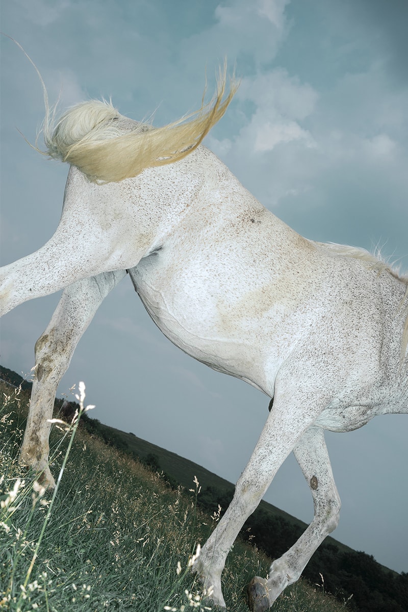 馬と人の原風景を捉えた遠藤文香による写真展プネウマがノンレクチャー ブックスにて開催 Ayaka Endo’s “Pneuma” Exhibition to Open at NONLECTURE books/arts
