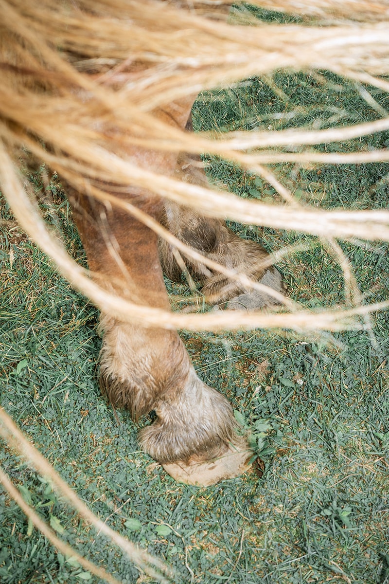 馬と人の原風景を捉えた遠藤文香による写真展プネウマがノンレクチャー ブックスにて開催 Ayaka Endo’s “Pneuma” Exhibition to Open at NONLECTURE books/arts