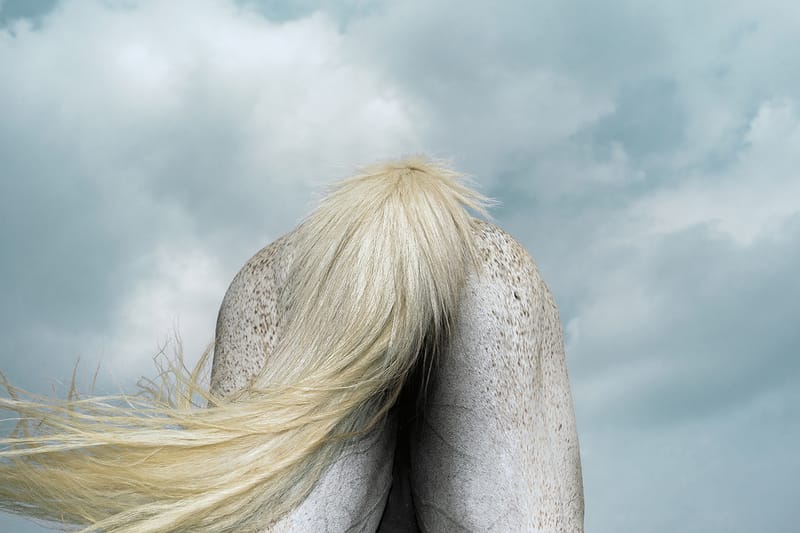 馬と人の原風景を捉えた遠藤文香による写真展 “Pneuma” が NONLECTURE books/arts にて開催