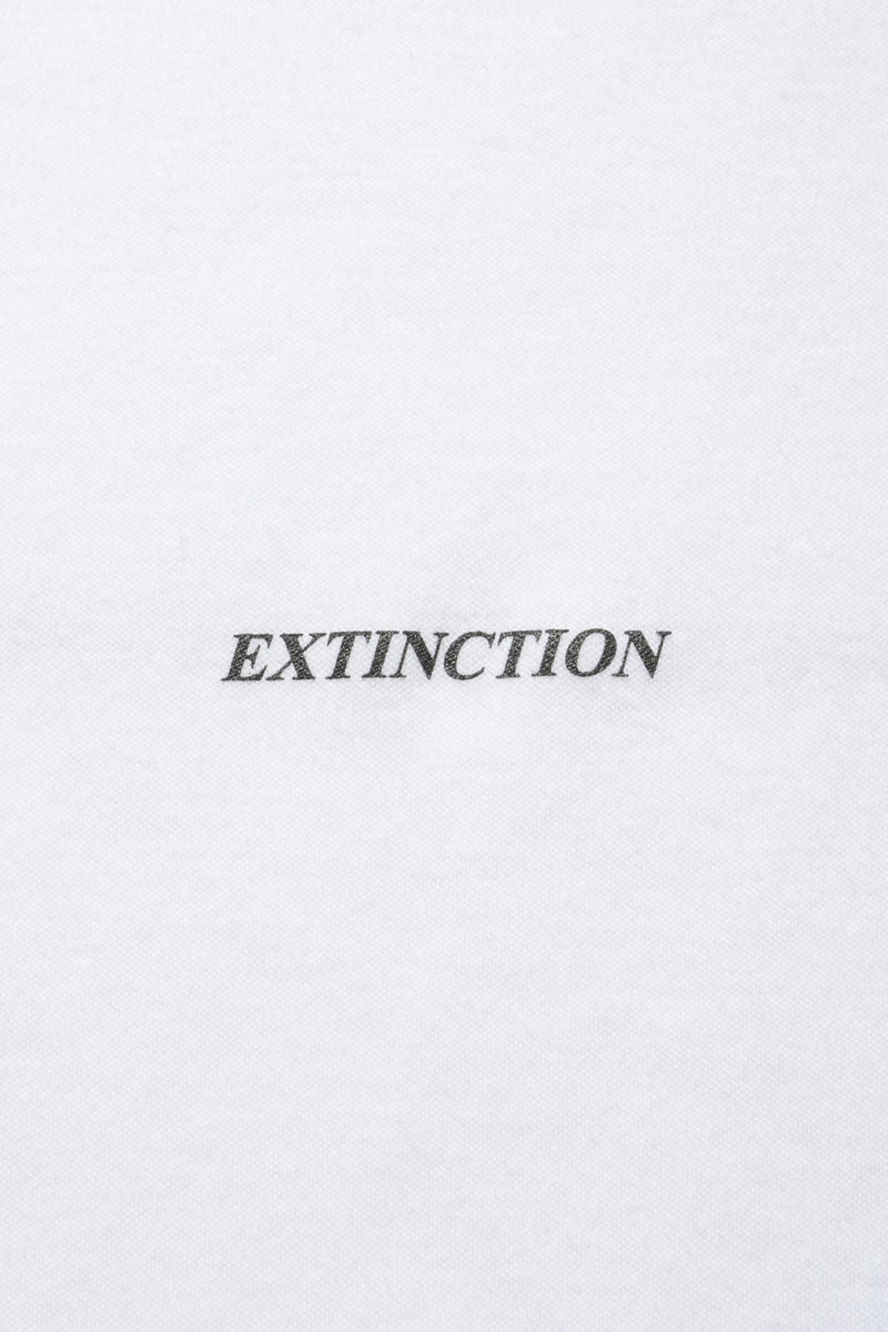 “絶滅”コレクションが発売 HIROSHI SUGIMOTO EXTINCTION collection release info