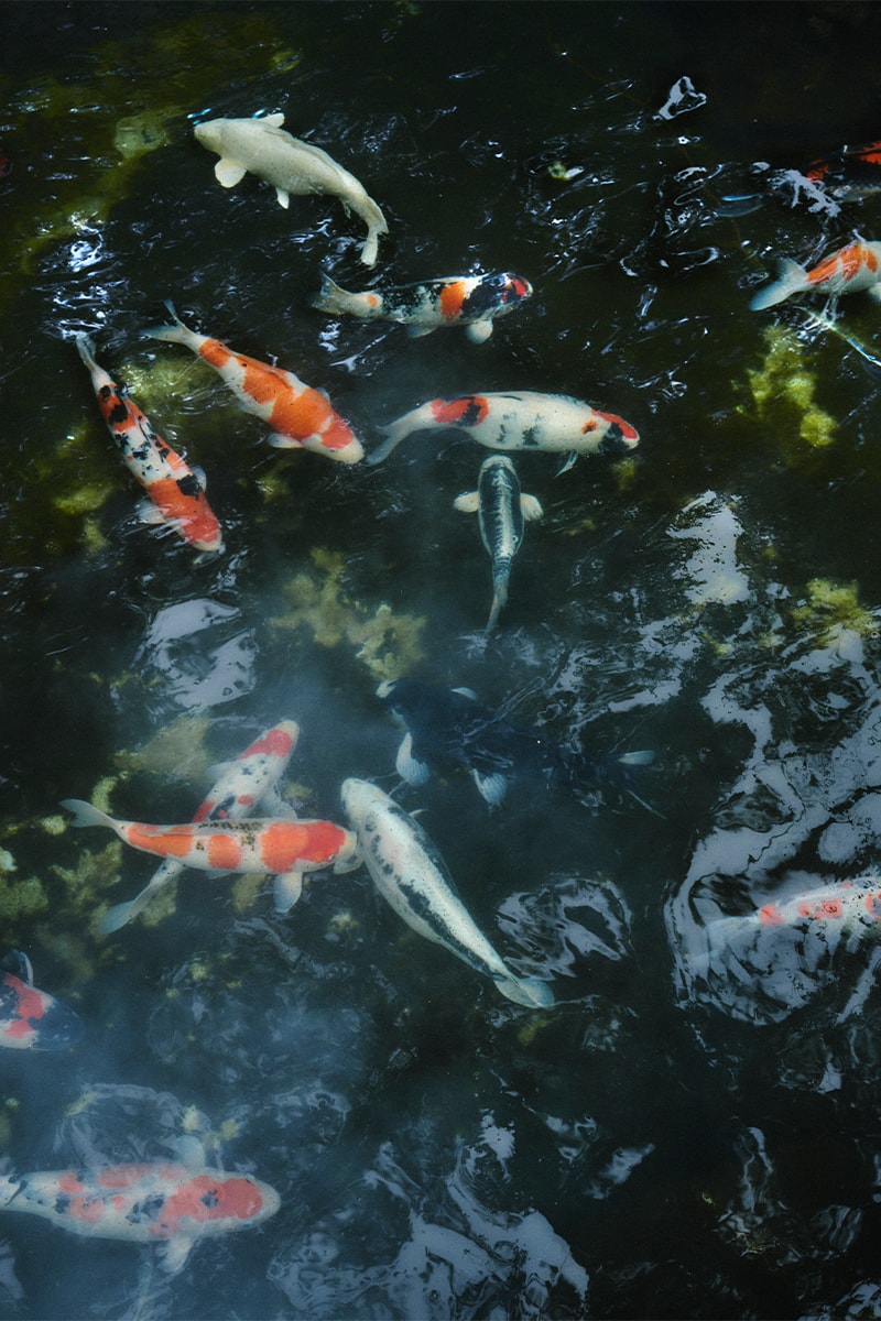 ノンネイティブとティンバーランドによる人気コラボが復活 nonnative timberland 3 eye classic taupe release info