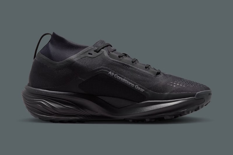 ナイキ ACG ペガサス トレイルがゴアテックス仕様へアップデート Nike ACG Pegasus Trail Gore-Tex Black & Anthracite release info