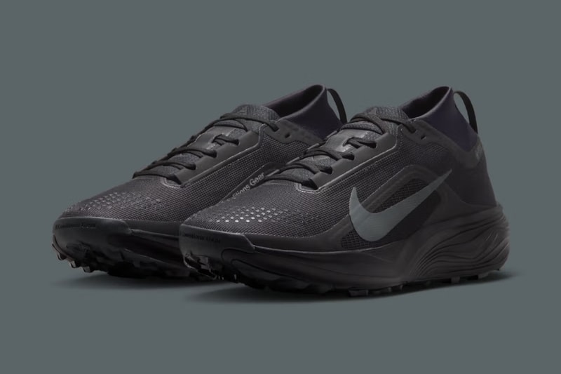 ナイキ ACG ペガサス トレイルがゴアテックス仕様へアップデート Nike ACG Pegasus Trail Gore-Tex Black & Anthracite release info