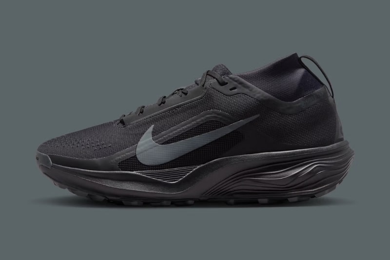 Nike ACG Pegasus Trail が GORE-TEX 仕様へアップデート