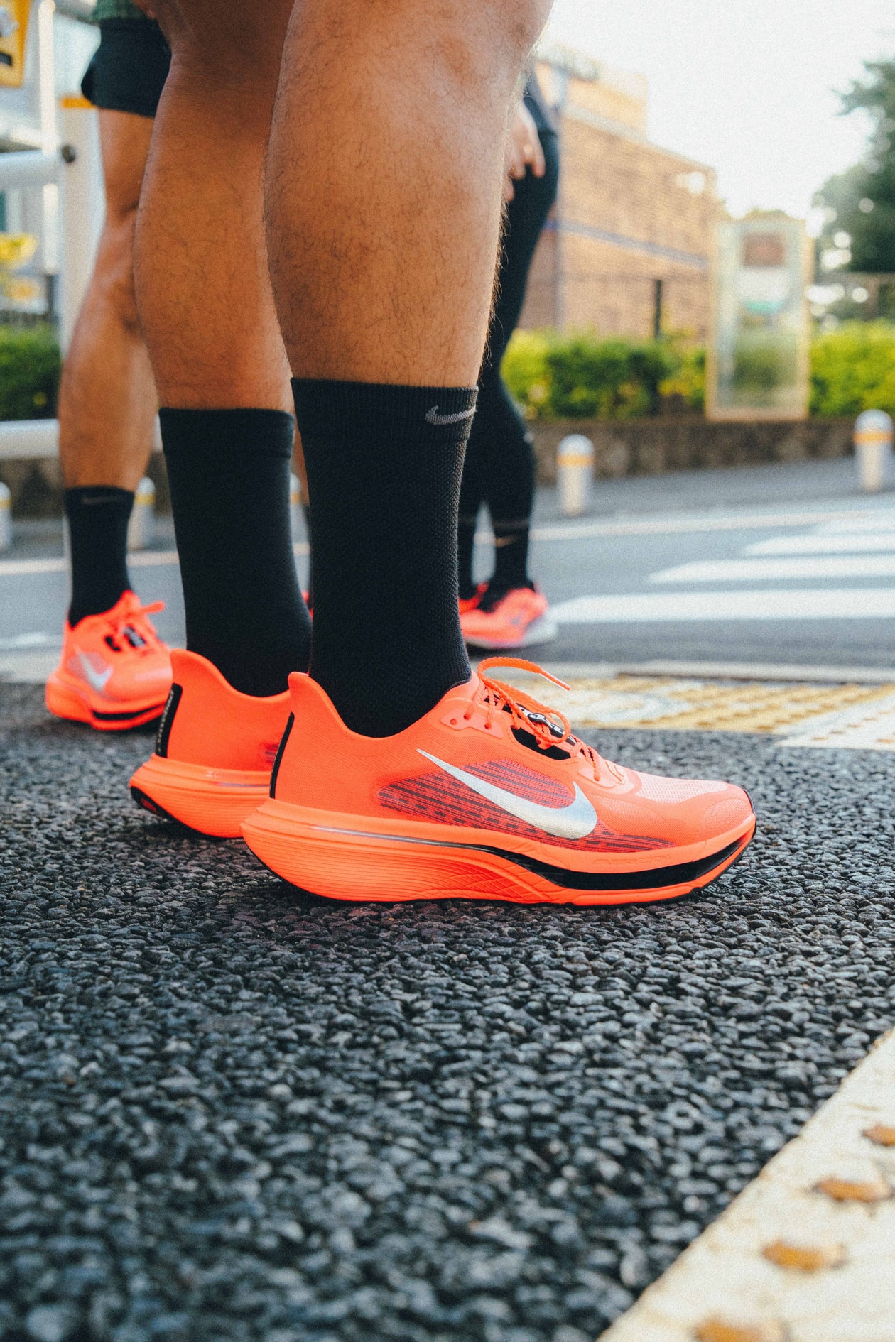 ナイキペガサスプラス2 ── 日々のランニングに、レースのようなスピードを nike pegasus plus 2 new racing shoes nike release info