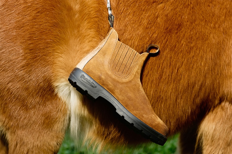 ブランドストーンとポップトレーディングカンパニーによる初のコラボが実現 blundstone pop trading company collabo release info