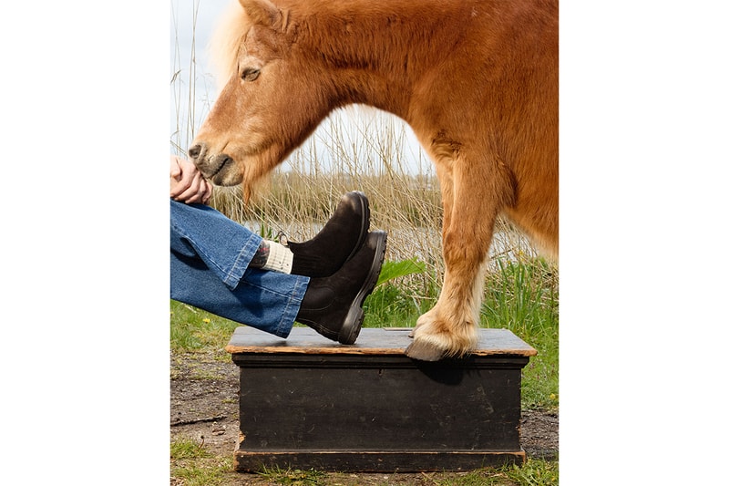 ブランドストーンとポップトレーディングカンパニーによる初のコラボが実現 blundstone pop trading company collabo release info