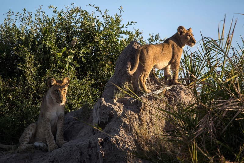 뉴욕타임즈 선정 2017 여행지 52