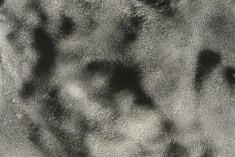 슬로우 스테디 클럽의 '움직이는 정적' 전시