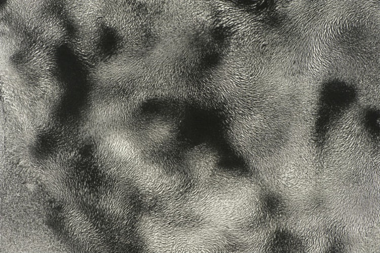 슬로우 스테디 클럽의 '움직이는 정적' 전시