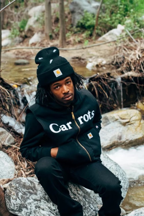 carrots carhartt 2017