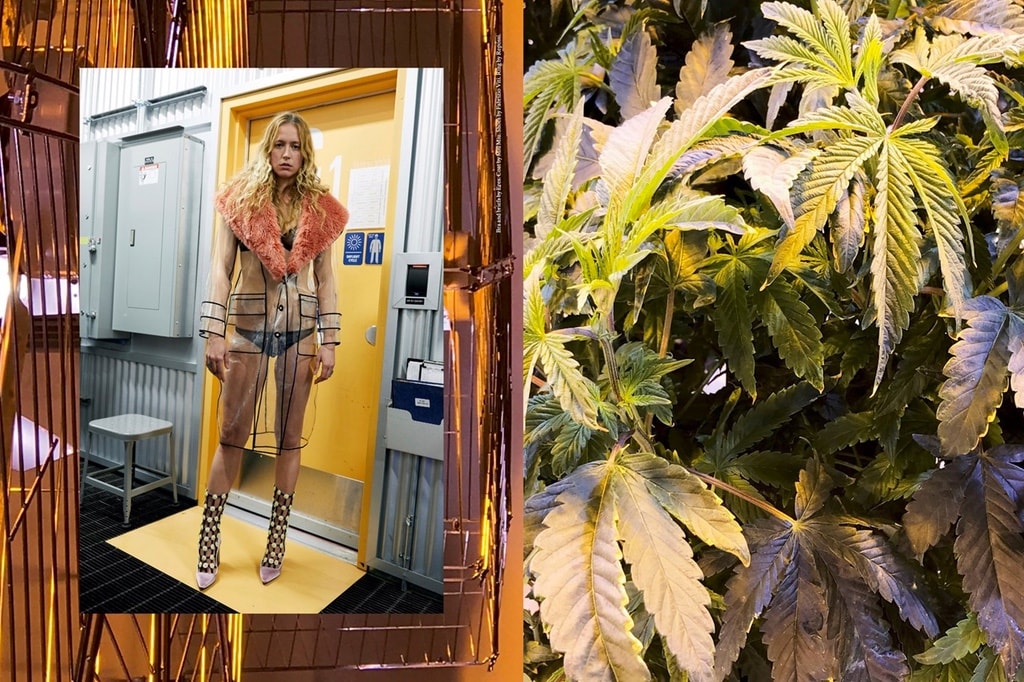 juergen teller system magazine marijuana shoot 2017