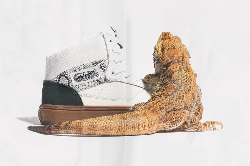 충만한 대륙 감성, 보데가 x 반스 캡슐