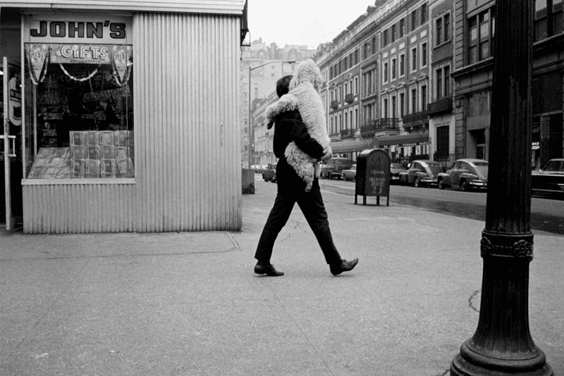 조엘 메이어로위츠 런던 비틀즈+헉슬리 갤러리 전시 joel meyerowitz photographs london beetles huxley gallery exhibition 2017