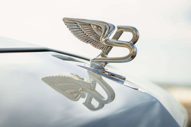 벤틀리, 버섯과 해파리로 만든 '채식주의자 전용 내장재' 개발