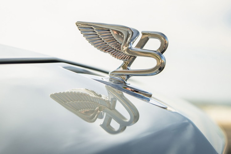 벤틀리, 버섯과 해파리로 만든 '채식주의자 전용 내장재' 개발