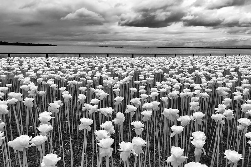 2017 아이폰 포토그래피 어워드 수상작들 2017 iphone photography awards winners