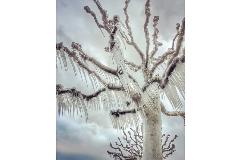 2017 아이폰 포토그래피 어워드 수상작들 2017 iphone photography awards winners