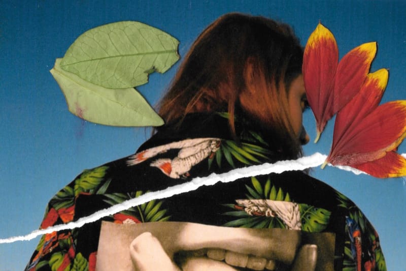 플레져스 2017 여름 룩북 '버전 7.0'