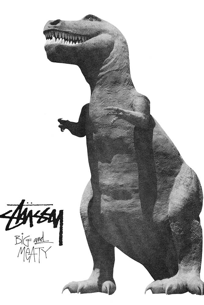 꿈결같은 스투시 2017 가을 캠페인 stussy fall collection