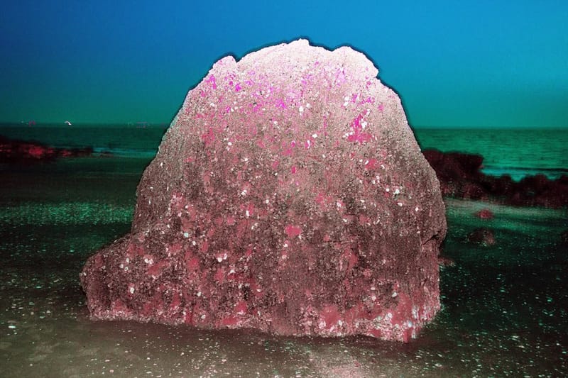 이강혁의 <스네이크풀> 사진전 들여다보기