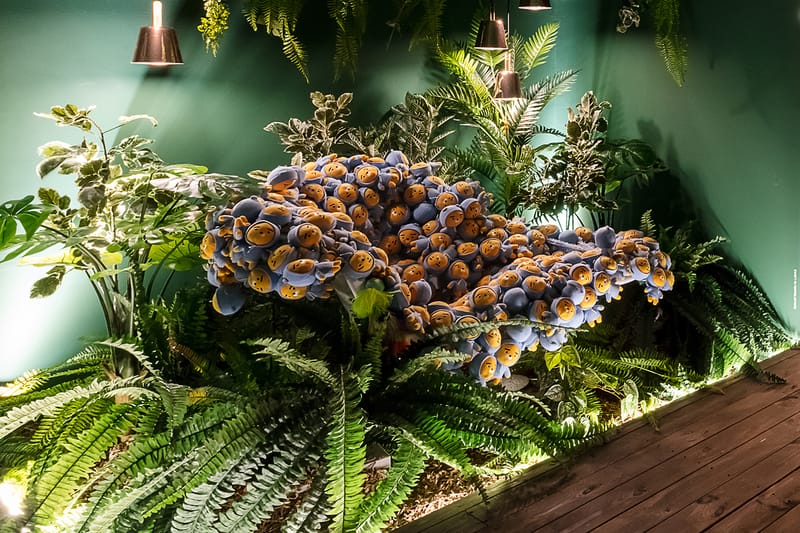 <뮤제 드 카카오프렌즈> 전시 들여다보기