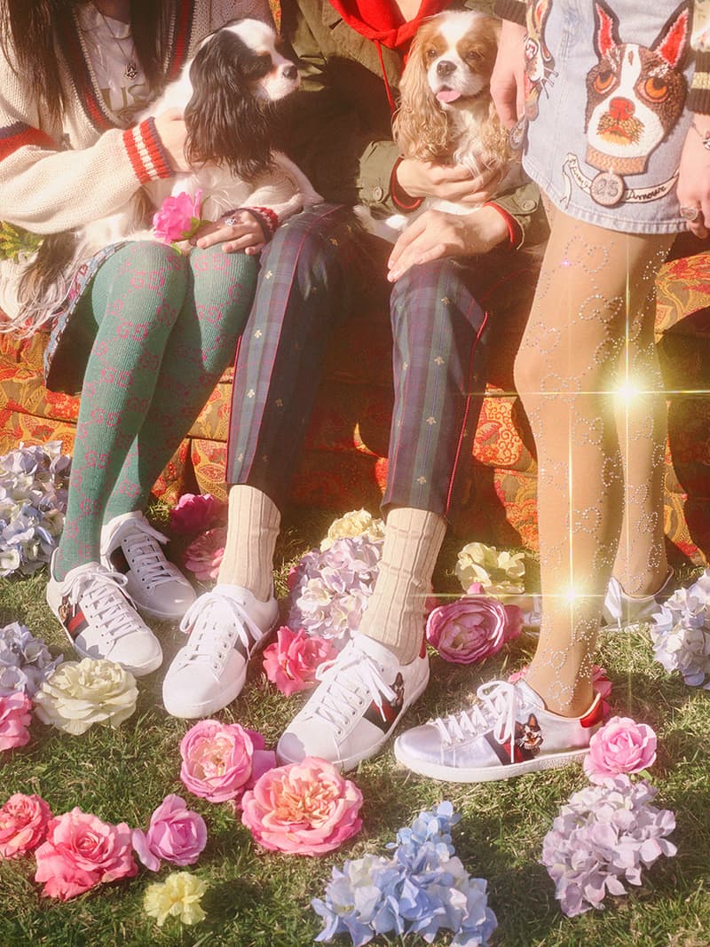 무술년 개의 해 구찌 개 컬렉션 gucci year of the dog collection 2018