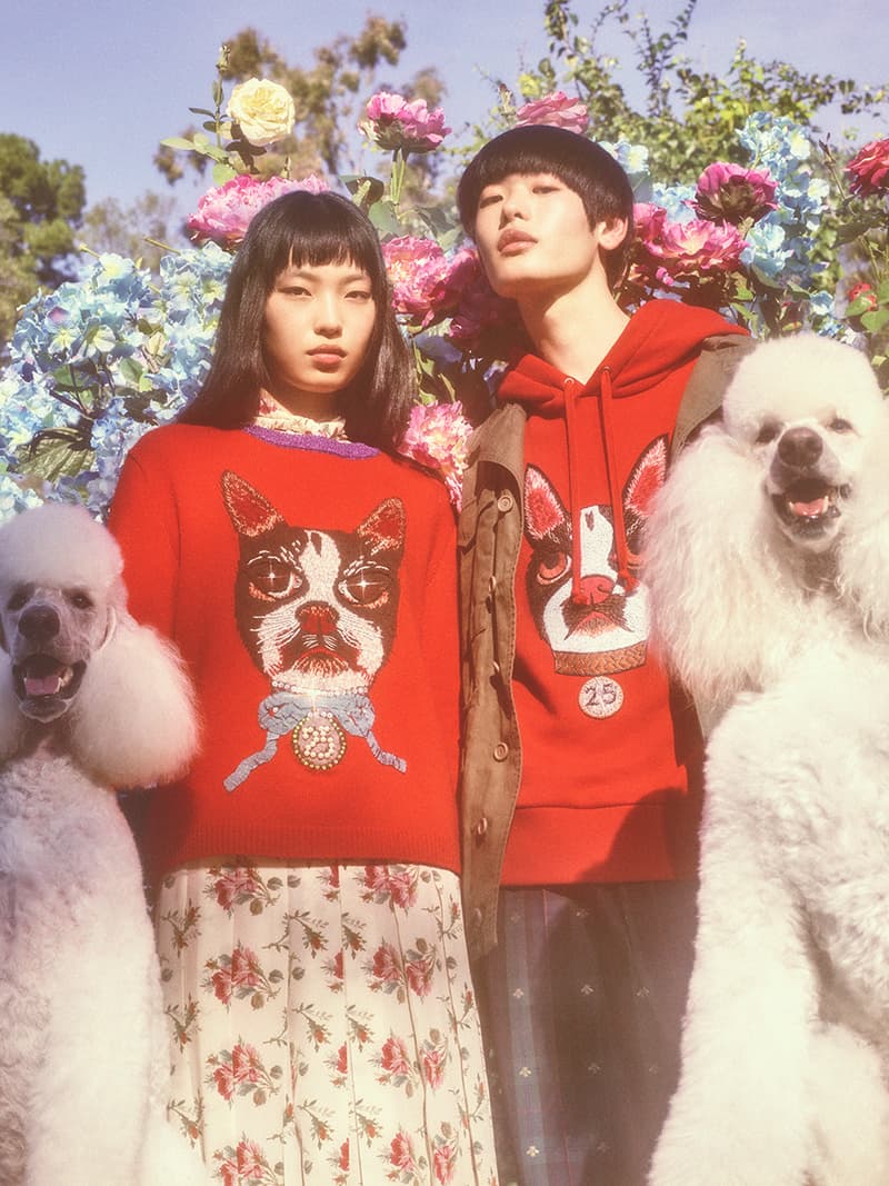 무술년 개의 해 구찌 개 컬렉션 gucci year of the dog collection 2018