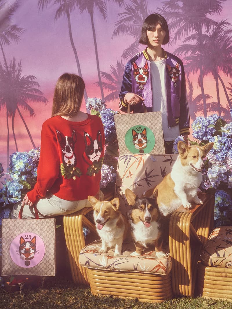 무술년 개의 해 구찌 개 컬렉션 gucci year of the dog collection 2018