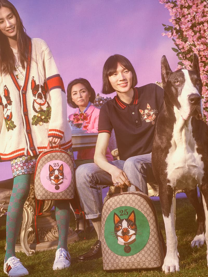 무술년 개의 해 구찌 개 컬렉션 gucci year of the dog collection 2018