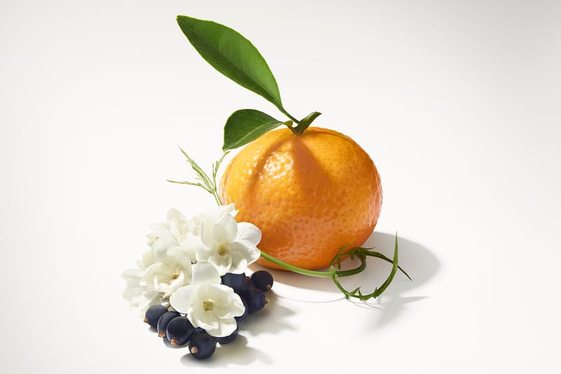 루이비통의 여덟 번째 향수, 르 주르 스레브